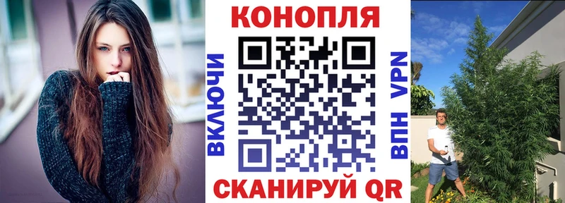Бошки марихуана план  mega ссылки  Данилов  где найти  